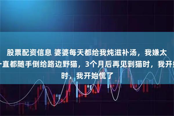股票配资信息 婆婆每天都给我炖滋补汤，我嫌太油腻一直都随手倒给路边野猫，3个月后再见到猫时，我开始慌了